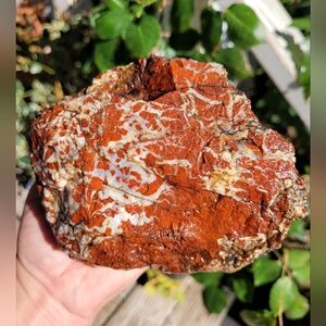 AAA++Vibrant Rough Colorful Raw Natural Jasper Lapidary Specimen